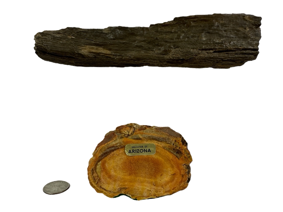 Pair Of Petrified Wood Pieces - Longer Piece Is 6.5'L