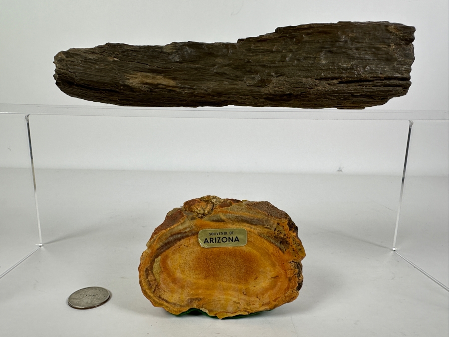 Pair Of Petrified Wood Pieces - Longer Piece Is 6.5'L [Photo 2]