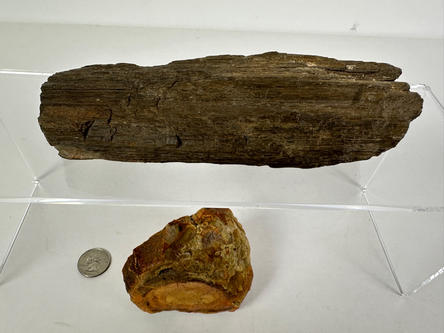 Pair Of Petrified Wood Pieces - Longer Piece Is 6.5'L [Photo 7]