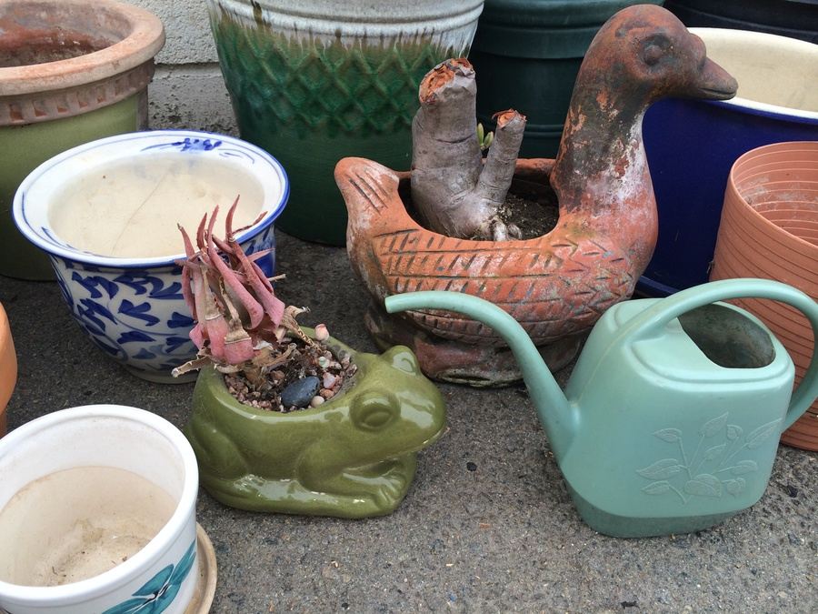 Huge Lot of Planting Pots [Photo 5]