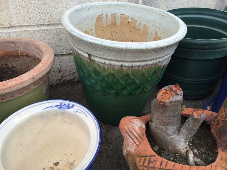 Huge Lot of Planting Pots [Photo 6]