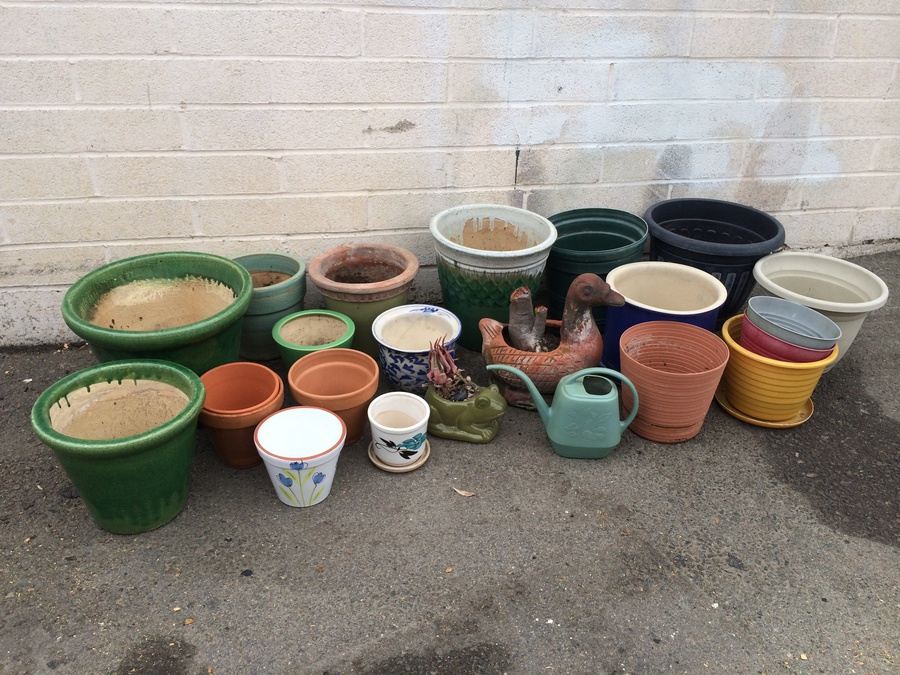Huge Lot of Planting Pots