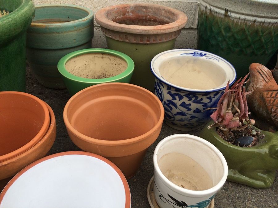 Huge Lot of Planting Pots