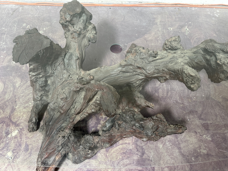 Just Added - Organic Sculptural Tree Root Base Cocktail Coffee Table With Glass Top 69W X 39D X 16H [Photo 10]