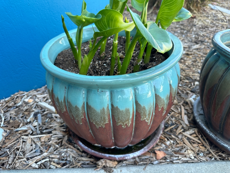 Pair Of Glazed Pottery Flower Pots 12W [Photo 3]