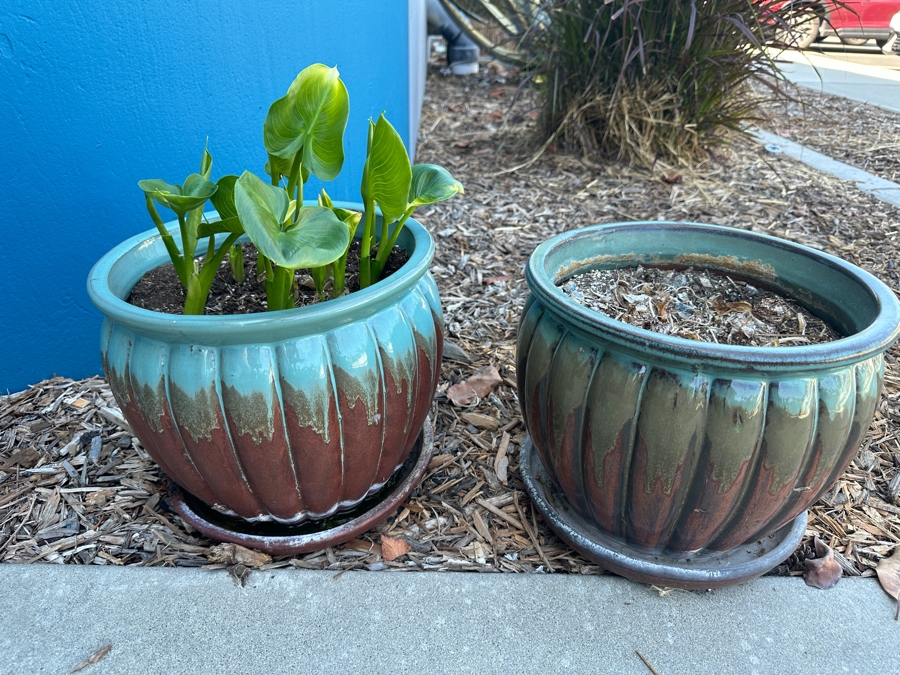 Pair Of Glazed Pottery Flower Pots 12W [Photo 2]
