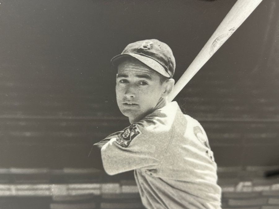 Autographed 1939 Ted Williams Rookie Posed Swing (Red Sox) B&W Photograph With Green Diamond Sports Certificate Of Authenticity 15 X 19 Framed 21 X 25 [Photo 4]