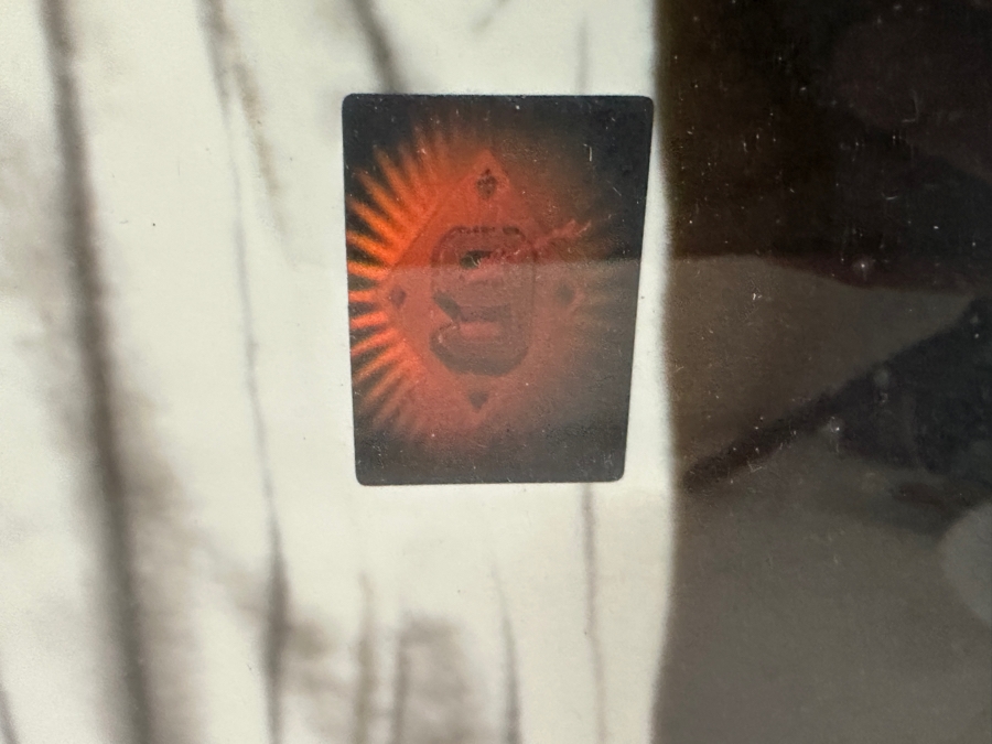 Ted Williams & Babe Ruth Color Photograph Autographed By Ted Williams With Green Diamond Sports Certificate Of Authenticity 20 X 24 Framed 34 X 30 [Photo 8]