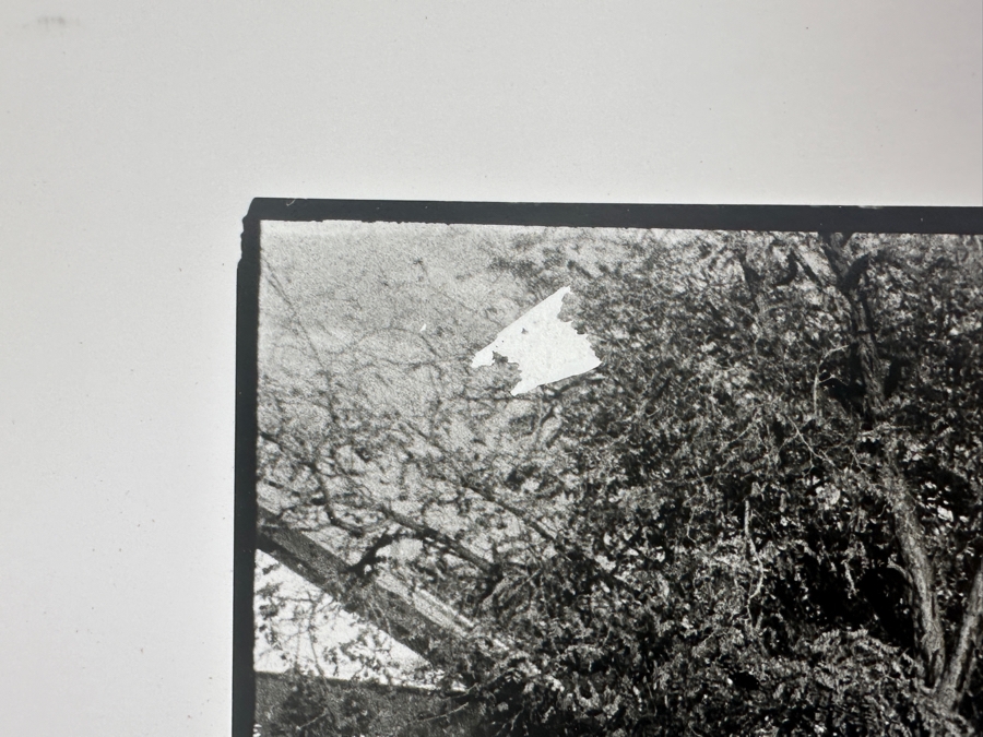Miguel Gandert (B. 1956, New Mexico) 1983 Signed B&W Photograph Titled 'Lowrider Bike, Albuquerque, New Mexico (Some Damage To Photograph In Upper Left Corner) 10 X 6.5 [Photo 10]