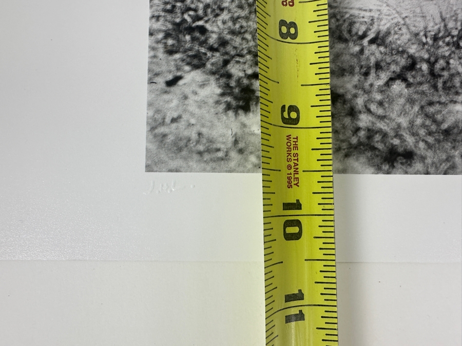 Jacques Henri Lartigue (1894-1986, France) Hand Signed Photograph Monsieur Follette, (Plitt) & Tupy, Paris 1912 Gelatin Silver Print, Printed Later, Signed In Ink J. H. Lartigue 11 X 9.5 Estimate $5,000-$7,000 [Photo 10]