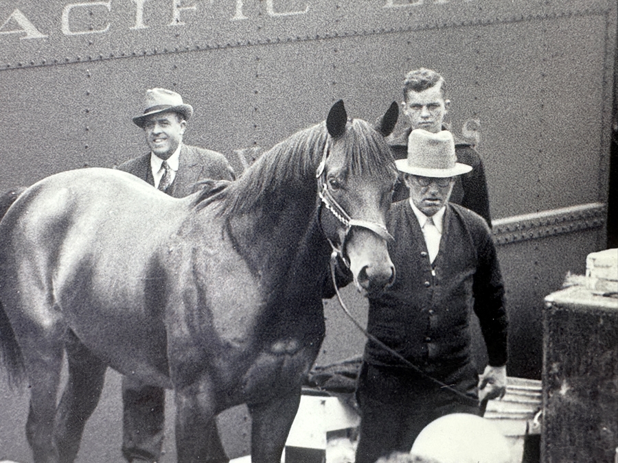 B&W Photograph Of Seabisquit Champion Thoroughbred Racehorse Arriving At Belmont Park In 1938 Via Pacific Lines Railroad Photo 10 X 8 [Photo 4]