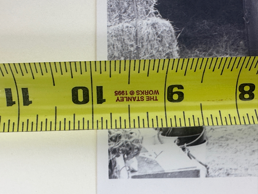 B&W Photograph Of Seabisquit Champion Thoroughbred Racehorse Arriving At Belmont Park In 1938 Via Pacific Lines Railroad Photo 10 X 8 [Photo 7]