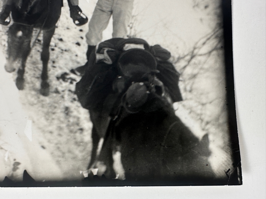 Emery C. Kolb - Kolb Brothers' Photography Studio On The South Rim Of The Grand Canyon Dated March 1, 1909 7 X 9.5 [Photo 7]