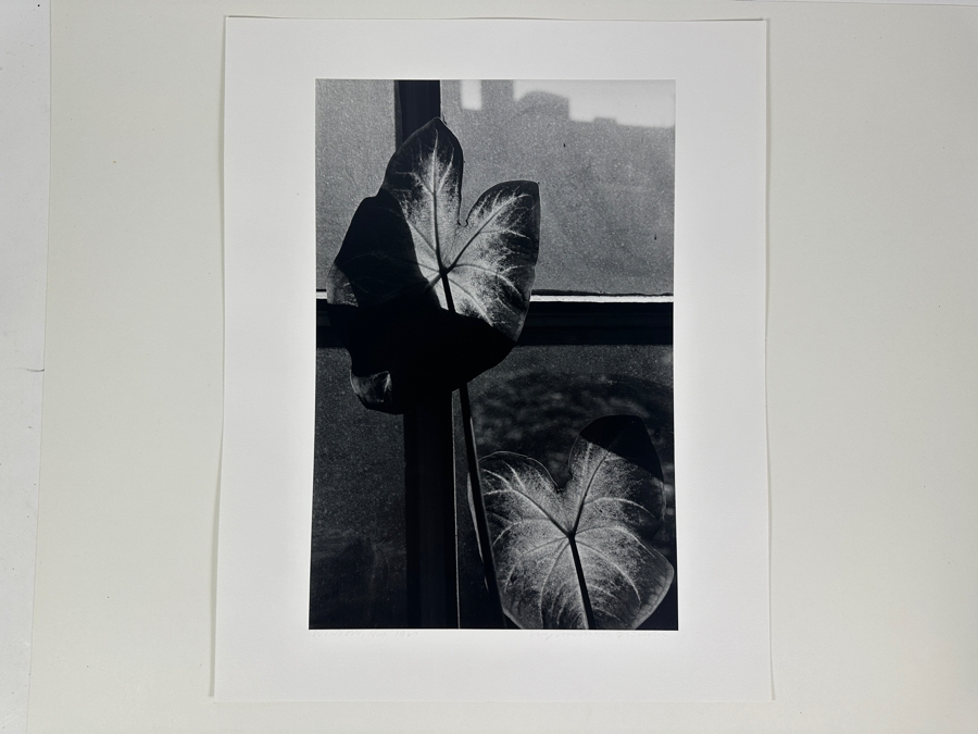 Wolf Von Dem Bussche (1934-2014, American) Hand Signed Limited Edition B&W Photographic Print Titled 'Window NYC 1967' Signed On Front And Verso Numbered 88 Of 90 - 10.5 X 16 [Photo 2]