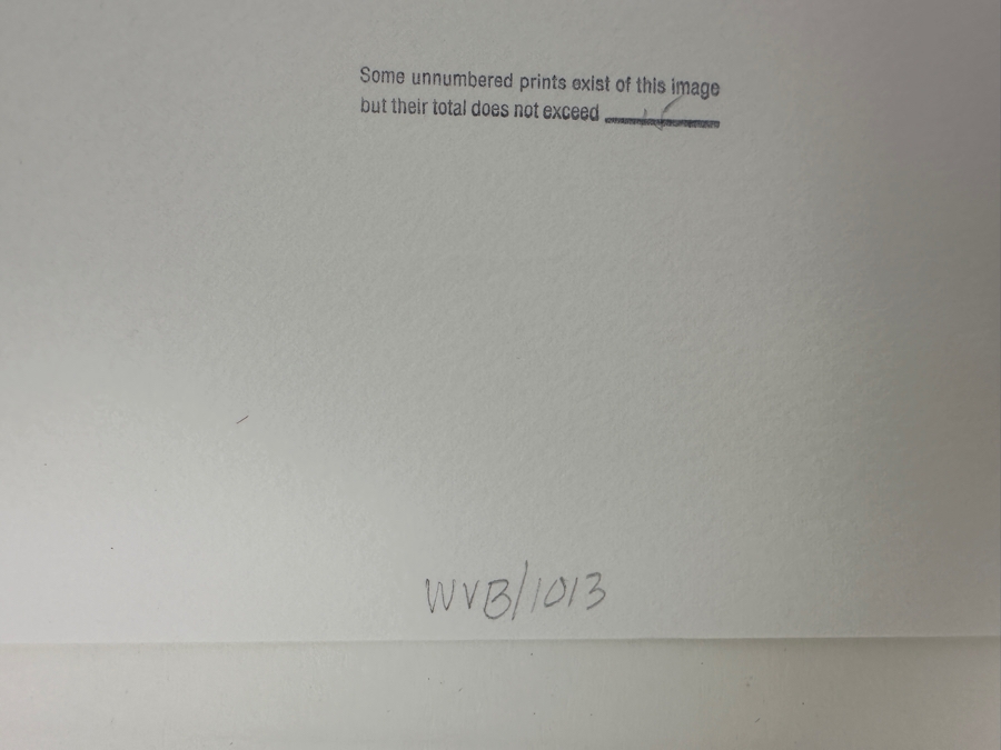 Wolf Von Dem Bussche (1934-2014, American) Hand Signed Limited Edition B&W Photographic Print Titled 'Window NYC 1967' Signed On Front And Verso Numbered 88 Of 90 - 10.5 X 16 [Photo 13]