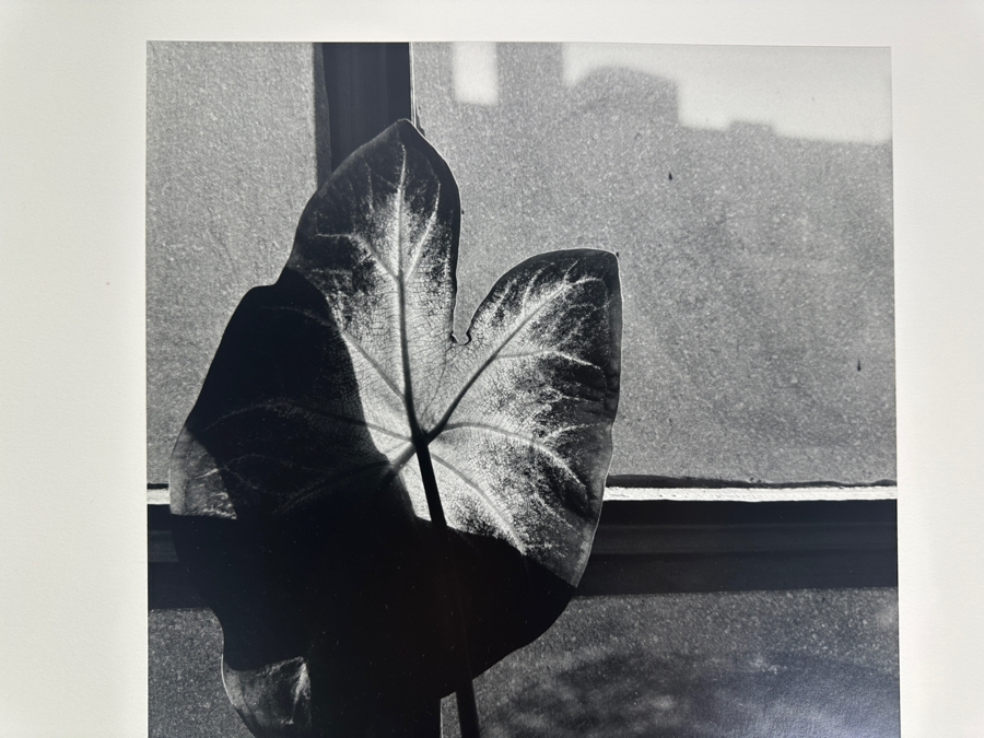 Wolf Von Dem Bussche (1934-2014, American) Hand Signed Limited Edition B&W Photographic Print Titled 'Window NYC 1967' Signed On Front And Verso Numbered 88 Of 90 - 10.5 X 16 [Photo 4]