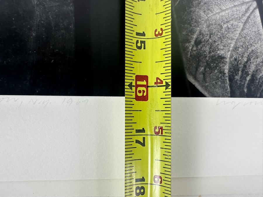 Wolf Von Dem Bussche (1934-2014, American) Hand Signed Limited Edition B&W Photographic Print Titled 'Window NYC 1967' Signed On Front And Verso Numbered 88 Of 90 - 10.5 X 16 [Photo 15]