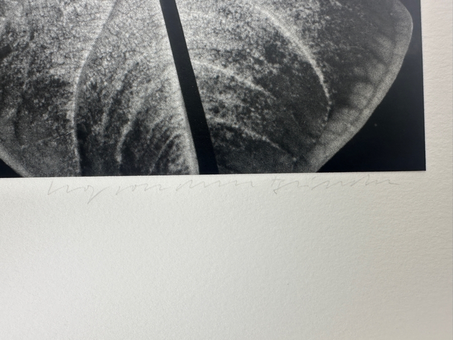 Wolf Von Dem Bussche (1934-2014, American) Hand Signed Limited Edition B&W Photographic Print Titled 'Window NYC 1967' Signed On Front And Verso Numbered 88 Of 90 - 10.5 X 16 [Photo 7]