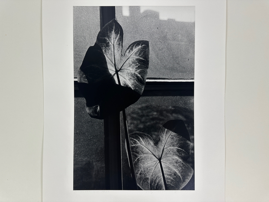 Wolf Von Dem Bussche (1934-2014, American) Hand Signed Limited Edition B&W Photographic Print Titled 'Window NYC 1967' Signed On Front And Verso Numbered 88 Of 90 - 10.5 X 16 [Photo 1]