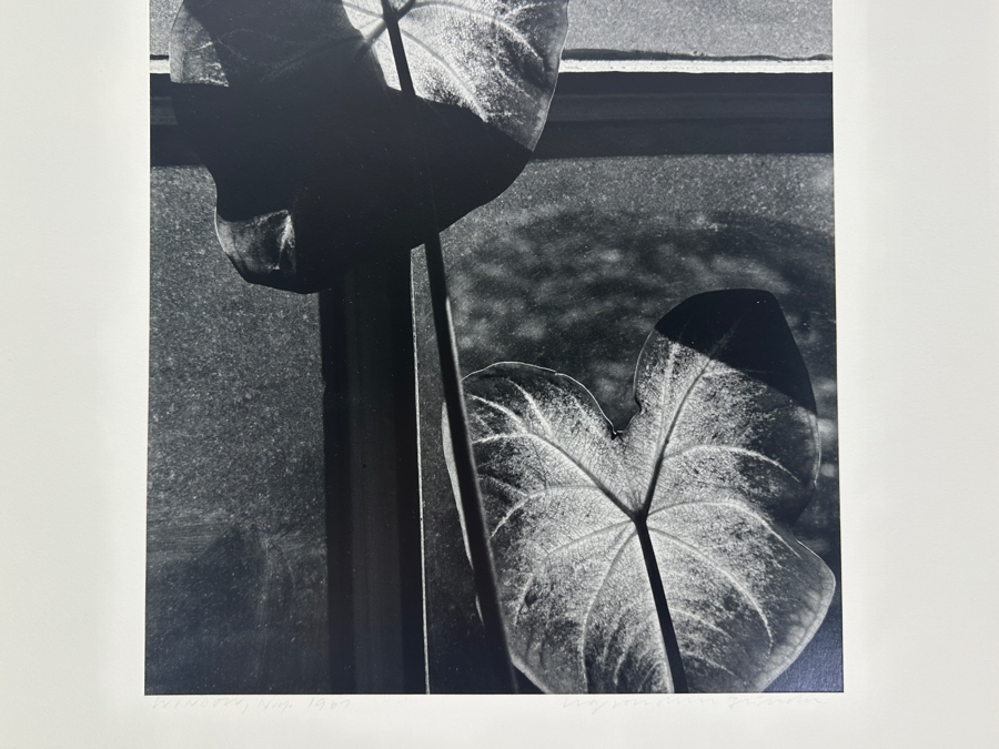 Wolf Von Dem Bussche (1934-2014, American) Hand Signed Limited Edition B&W Photographic Print Titled 'Window NYC 1967' Signed On Front And Verso Numbered 88 Of 90 - 10.5 X 16 [Photo 5]