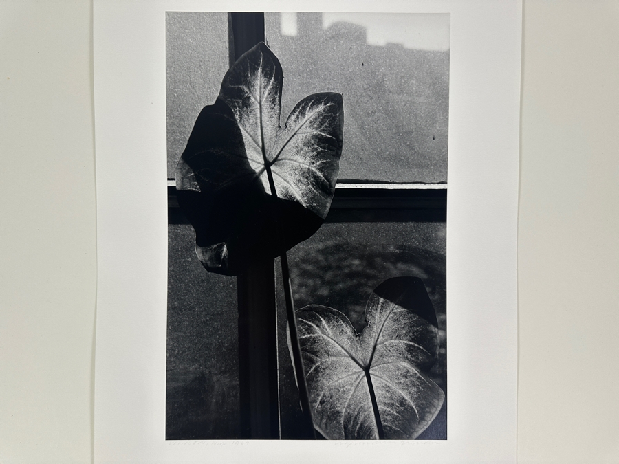 Wolf Von Dem Bussche (1934-2014, American) Hand Signed Limited Edition B&W Photographic Print Titled 'Window NYC 1967' Signed On Front And Verso Numbered 88 Of 90 - 10.5 X 16 [Photo 3]