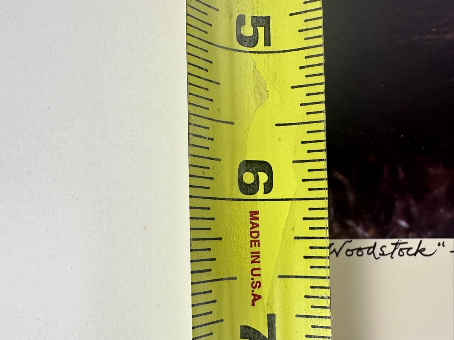 Dan Budnik (1933-2020, American) Signed Color Photograph Of One Day Old Bald Eagle Chick Oklahoma 1987 Ink Signed Dan Budnik 9.5 X 6.25 [Photo 5]