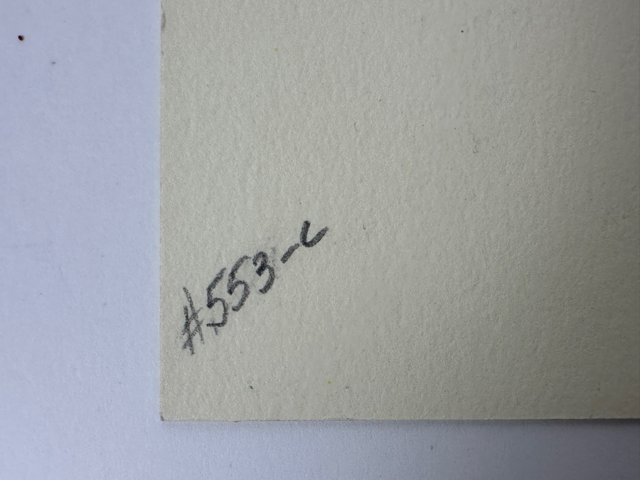 Emery C. Kolb - Kolb Brothers' Photography Studio On The South Rim Of The Grand Canyon 'The Cork Screw: Lower End Of Bright Angel Trail' Photograph Stamped Emery C. Kolb On Verso 8 X 10 [Photo 12]