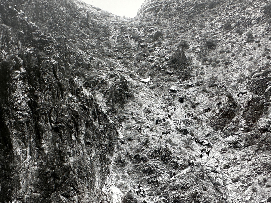 Emery C. Kolb - Kolb Brothers' Photography Studio On The South Rim Of The Grand Canyon 'The Cork Screw: Lower End Of Bright Angel Trail' Photograph Stamped Emery C. Kolb On Verso 8 X 10 [Photo 4]