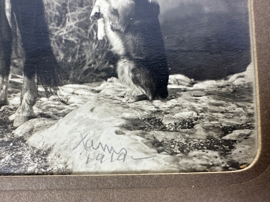 1910 Kolb Brothers' Photography Studio On The South Rim Of The Grand Canyon Photograph In Original Kolb Brothers Frame 6.5 X 4.5 [Photo 8]