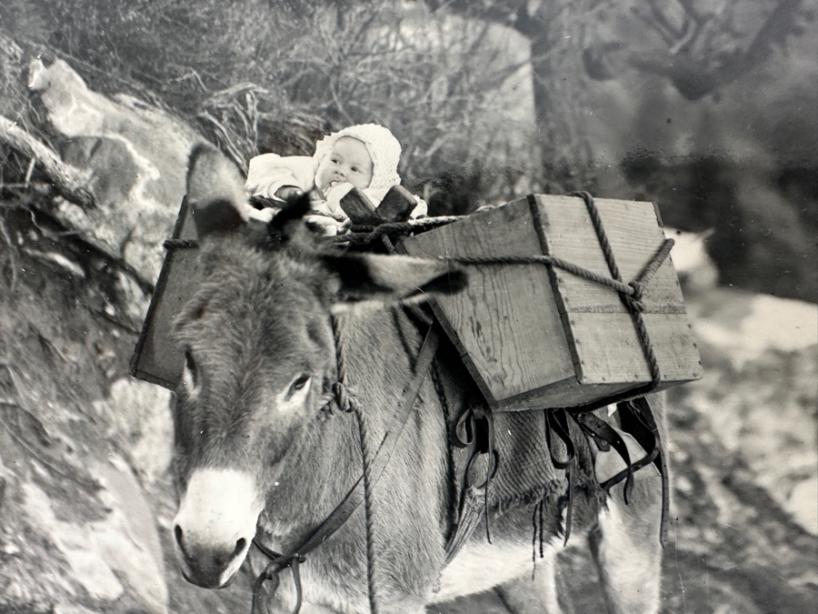Kolb Brothers' Photography Studio On The South Rim Of The Grand Canyon Photograph In Original Kolb Brothers Frame 4.5 X 6.5	 [Photo 6]