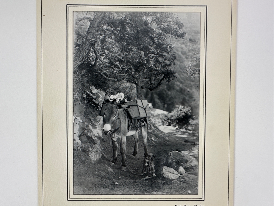 Kolb Brothers' Photography Studio On The South Rim Of The Grand Canyon Photograph In Original Kolb Brothers Frame 4.5 X 6.5	 [Photo 3]