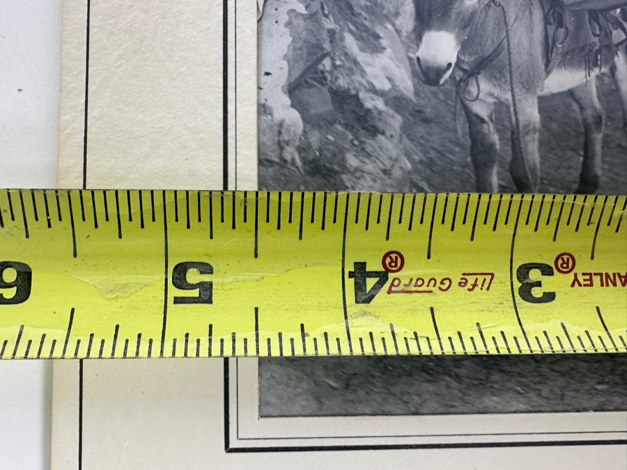 Kolb Brothers' Photography Studio On The South Rim Of The Grand Canyon Photograph In Original Kolb Brothers Frame 4.5 X 6.5	 [Photo 11]