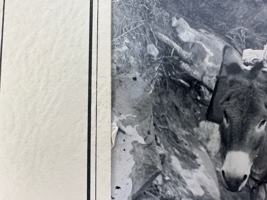 Kolb Brothers' Photography Studio On The South Rim Of The Grand Canyon Photograph In Original Kolb Brothers Frame 4.5 X 6.5	 [Photo 9]