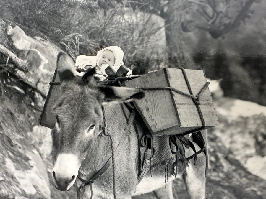 Kolb Brothers' Photography Studio On The South Rim Of The Grand Canyon Photograph In Original Kolb Brothers Frame 4.5 X 6.5	 [Photo 7]