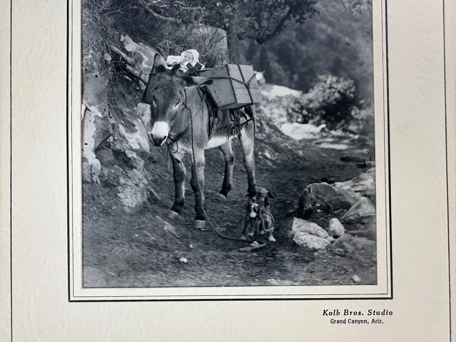 Kolb Brothers' Photography Studio On The South Rim Of The Grand Canyon Photograph In Original Kolb Brothers Frame 4.5 X 6.5	 [Photo 4]
