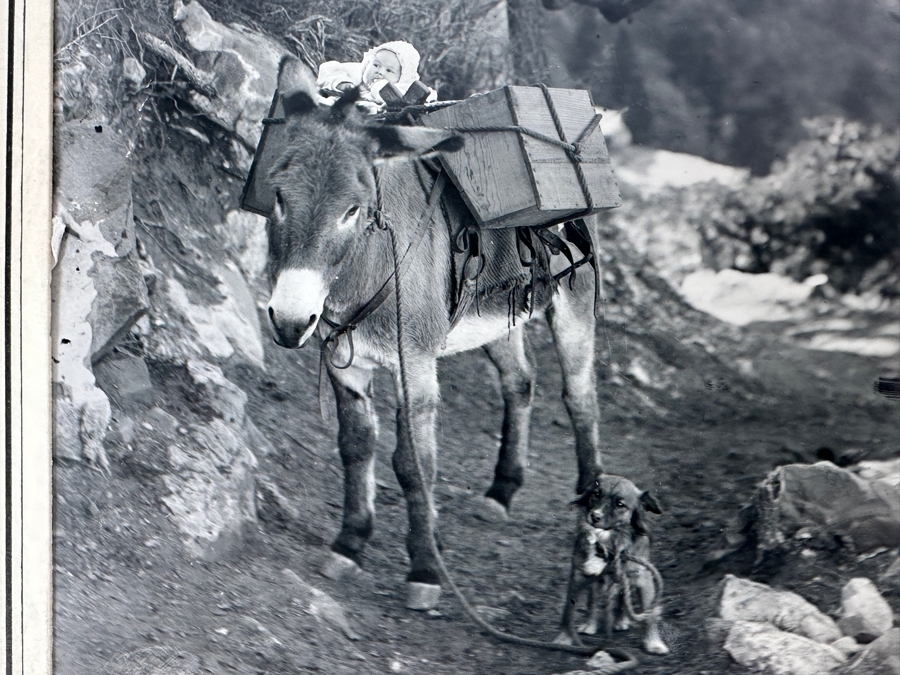 Kolb Brothers' Photography Studio On The South Rim Of The Grand Canyon Photograph In Original Kolb Brothers Frame 4.5 X 6.5	 [Photo 5]