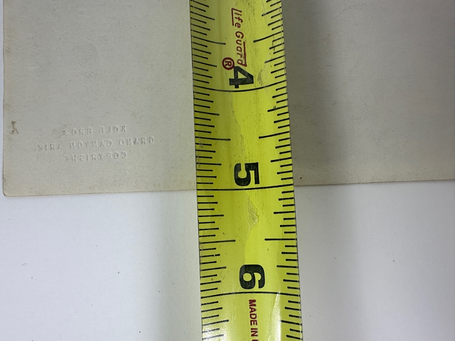 Kolb Brothers' Photography Studio On The South Rim Of The Grand Canyon Photograph Titled 'Fish Caught By Striking With Oars' 7 X 5 [Photo 9]