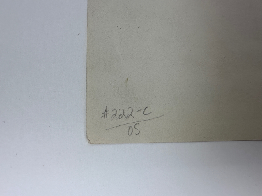 Kolb Brothers' Photography Studio On The South Rim Of The Grand Canyon Photograph Stamped On Verso Emery C. Kolb 4.5 X 6.5 [Photo 11]