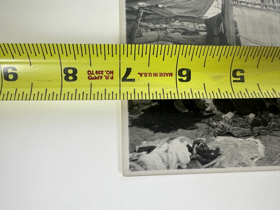 Kolb Brothers' Photography Studio On The South Rim Of The Grand Canyon Photograph Stamped On Verso Emery C. Kolb 7 X 5 [Photo 8]