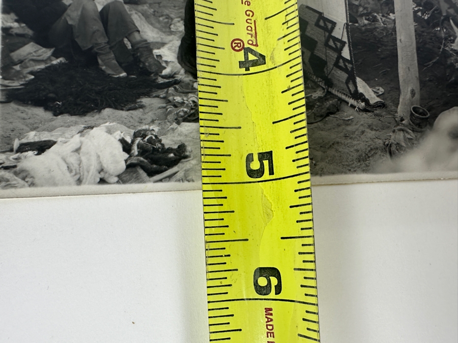 Kolb Brothers' Photography Studio On The South Rim Of The Grand Canyon Photograph Stamped On Verso Emery C. Kolb 7 X 5 [Photo 9]