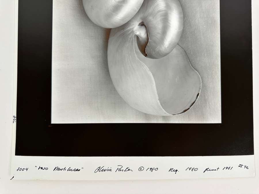 Olivia Parker (B. 1941, American) Two Nautiluses 1980 Gelatin Silver Photograph 9.5 X 7.5 Signed By Olivia Parker And Numbered 46 Of 59 Estimate $6,000-$10,000 [Photo 7]