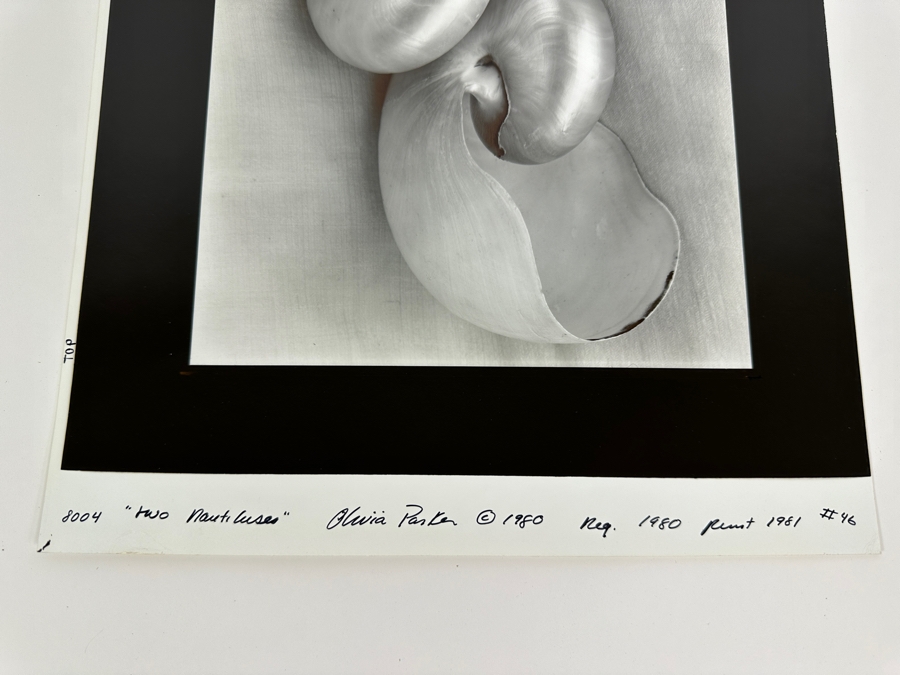 Olivia Parker (B. 1941, American) Two Nautiluses 1980 Gelatin Silver Photograph 9.5 X 7.5 Signed By Olivia Parker And Numbered 46 Of 59 Estimate $6,000-$10,000 [Photo 11]