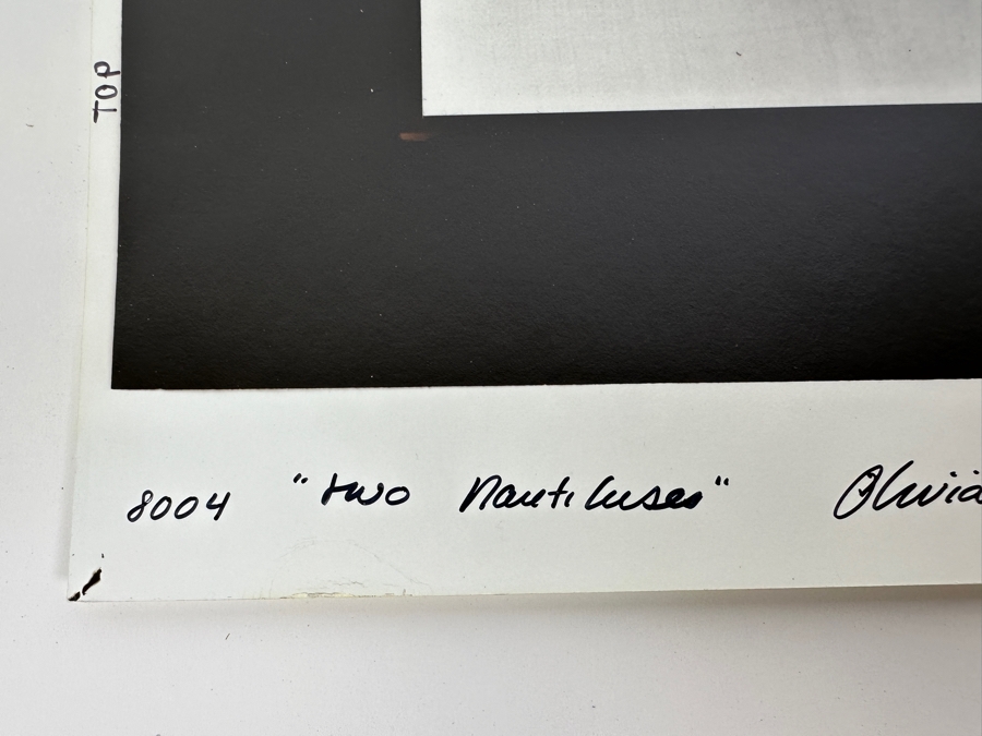 Olivia Parker (B. 1941, American) Two Nautiluses 1980 Gelatin Silver Photograph 9.5 X 7.5 Signed By Olivia Parker And Numbered 46 Of 59 Estimate $6,000-$10,000 [Photo 8]