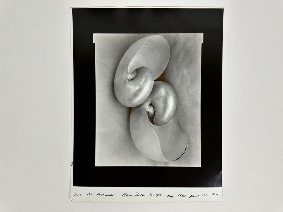 Olivia Parker (B. 1941, American) Two Nautiluses 1980 Gelatin Silver Photograph 9.5 X 7.5 Signed By Olivia Parker And Numbered 46 Of 59 Estimate $6,000-$10,000 [Photo 12]