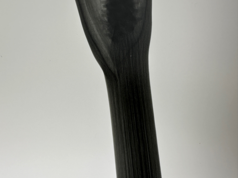 Vintage X-Ray Radiograph Photograph Of A Lily Flower 8 X 10 [Photo 5]