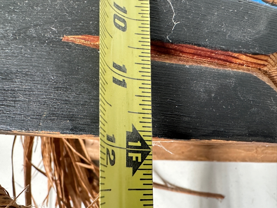 Tlingit Wolf Carved Wooden Hand-painted Ceremonial Dance Mask With Raffia Hair Pacific Northwest Coast 26'L X 10'D X 12'H Estimate $4,000 [Photo 17]