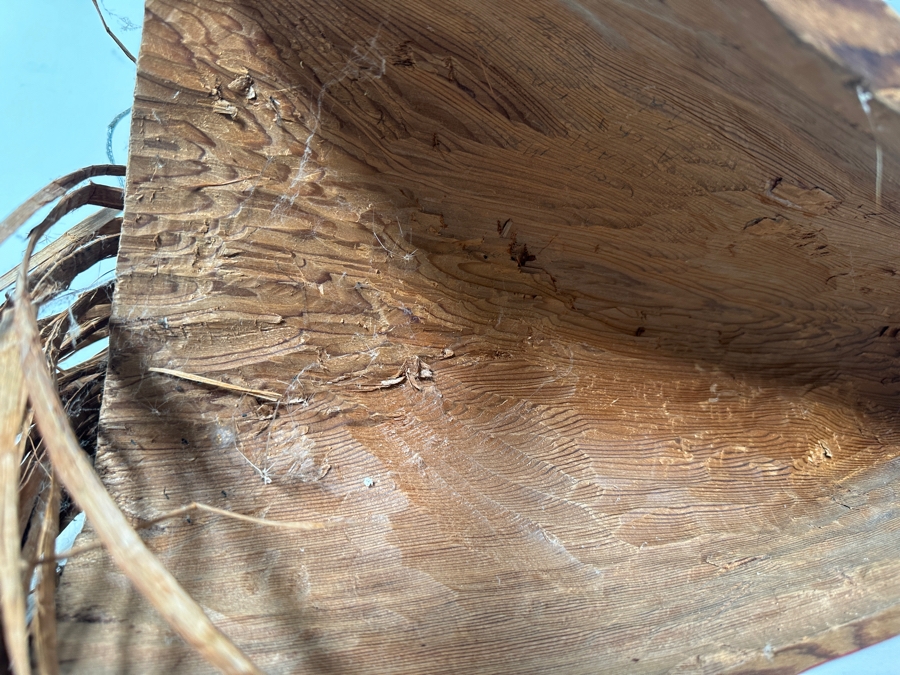 Tlingit Wolf Carved Wooden Hand-painted Ceremonial Dance Mask With Raffia Hair Pacific Northwest Coast 26'L X 10'D X 12'H Estimate $4,000 [Photo 13]