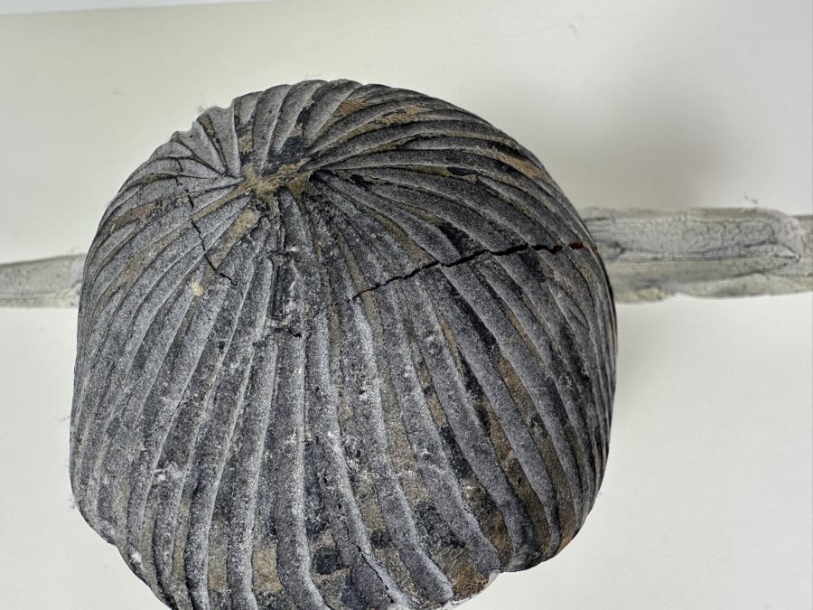 Vintage Primitive Hand Carved Wood Angel Bust 16'W x 5'D x 9'H [Photo 10]