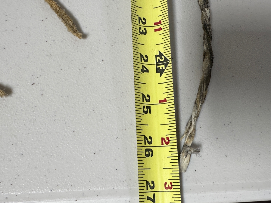 Just Added - Handmade Native American Dreamcatcher Antler With Beadwork, Feathers, Fur & Hair 36W X 26H [Photo 11]