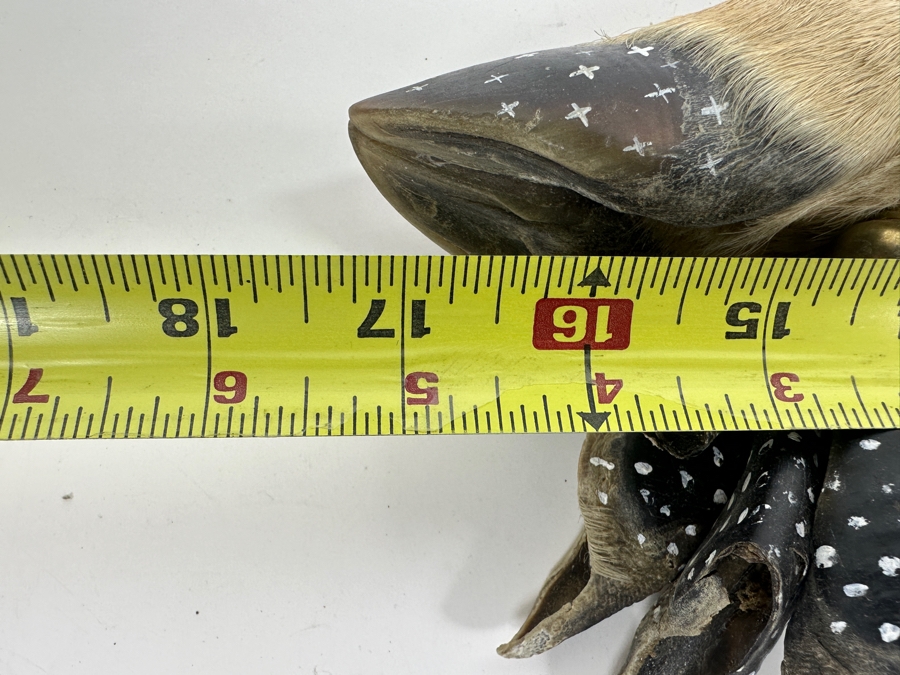 Native American Deer Hoof Rattle 17' [Photo 10]